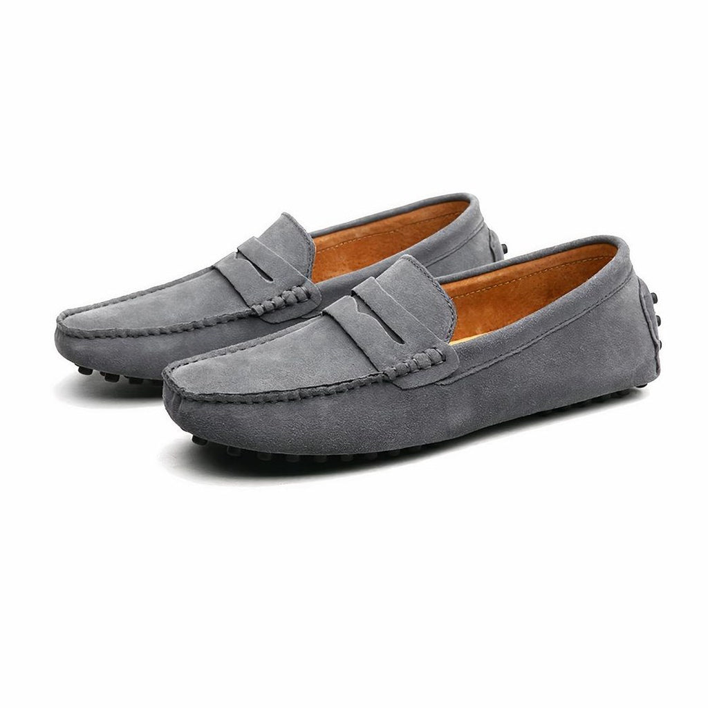 coloris Gris